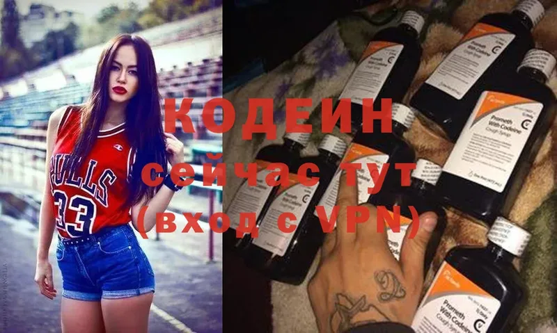 цены наркотик  Ирбит  Кодеин Purple Drank 